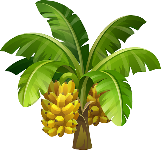 Animation Image