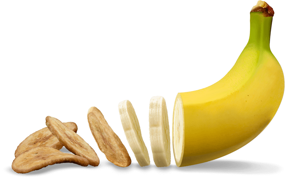 Animation Image